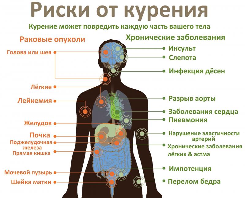 Желающие отказаться от курения могут получить помощь в преодолении этой зависимости